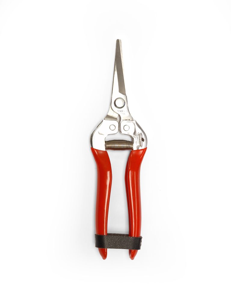 7 1/2″ Floral Straight Pruner S2135